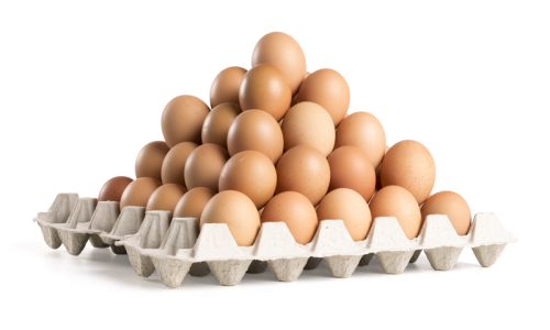 Consumption eggs